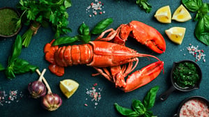 20250622_lobster-buffet-website-hero_1920x1080