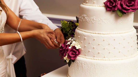 Couple cuts wedding cake.