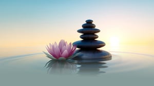 Image of relaxing stone stack and water Lilly floating on a pool of water.